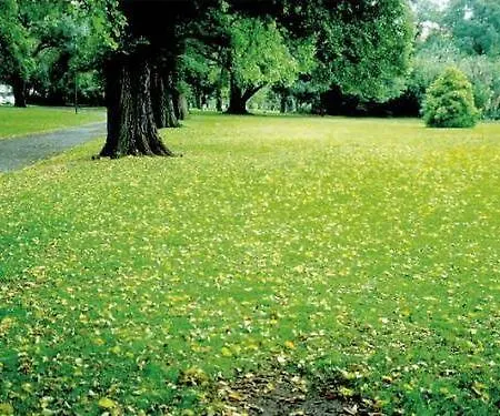 Alecsa Am Olympiastadion 酒店 Seeburg (Brandenburg)