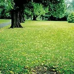 Alecsa Am Olympiastadion Hotel Seeburg (Brandenburg)