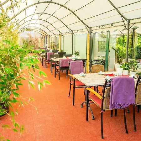 Alecsa Am Olympiastadion