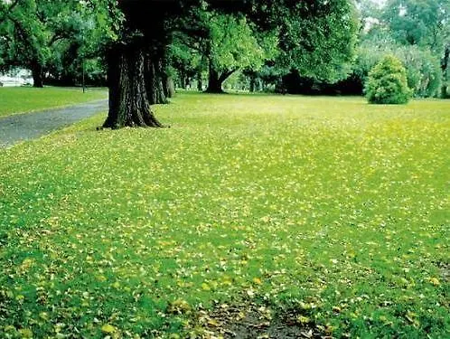 Alecsa Am Olympiastadion فندق Seeburg (Brandenburg)